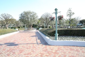IMG_9777_2000