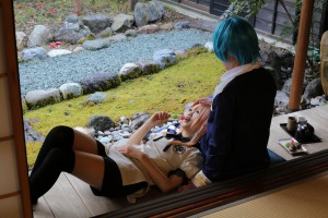 IMG_0507_2000