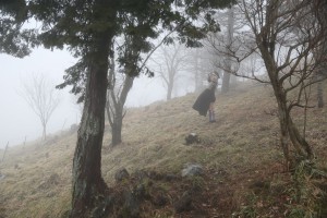 IMG_6818_2000