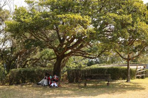 IMG_7358_2000