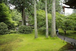 IMG_8403_2000