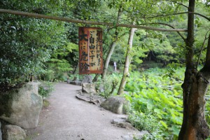 IMG_8661_2000