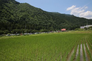 IMG_8719_2000