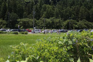 IMG_8723_2000