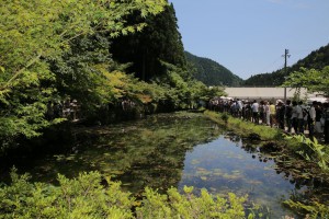 IMG_8740_2000