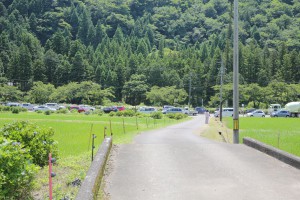 IMG_8769_2000
