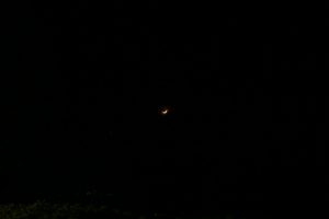 img_7036_