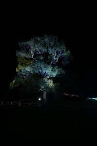 img_7066_